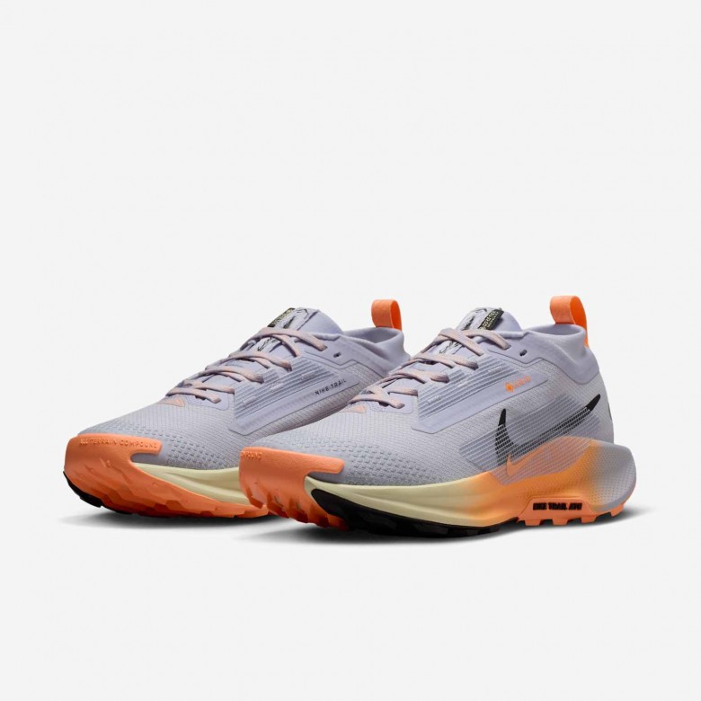 Nike Pegasus Trail 5 GORE-TEX Nike Pegasus Trail 5 GORE-TEX
