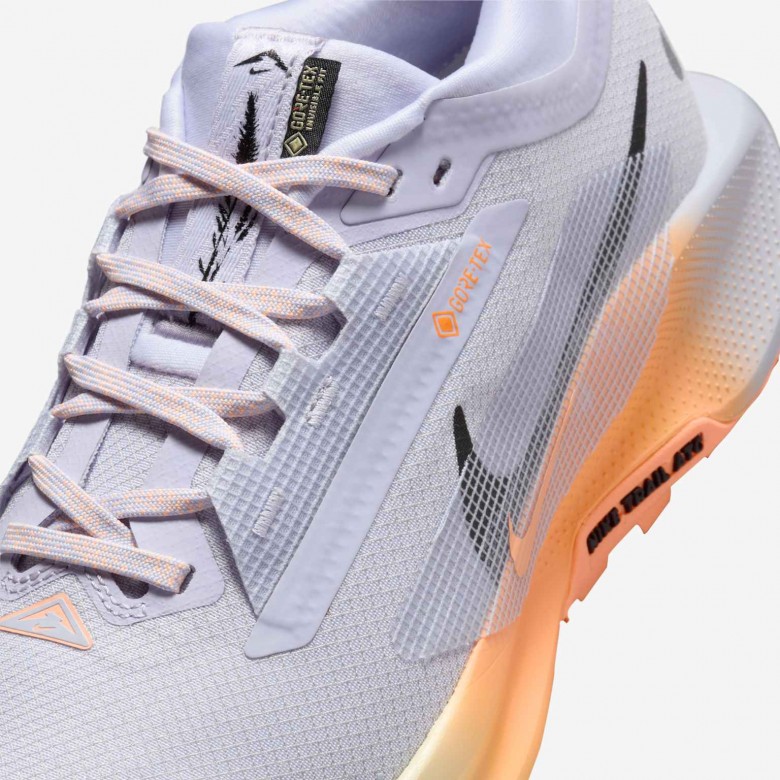 Nike Pegasus Trail 5 GORE-TEX Nike Pegasus Trail 5 GORE-TEX