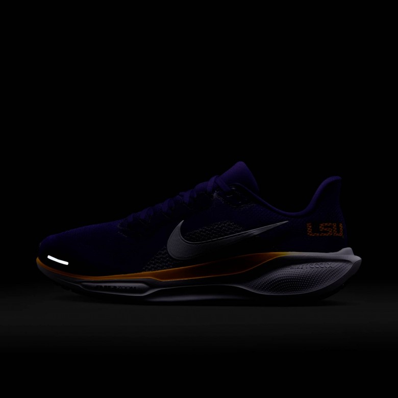 LSU Pegasus 41 LSU Pegasus 41