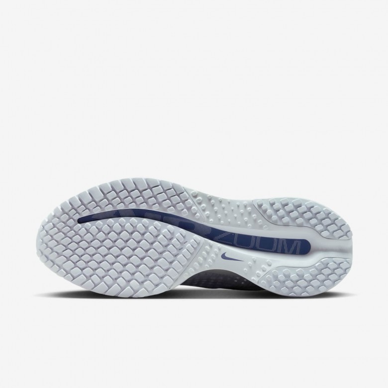 Nike Pegasus Premium Nike Pegasus Premium