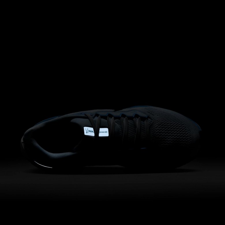 Nike Pegasus 41 Nike Pegasus 41