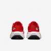 Kansas City Chiefs Pegasus 41