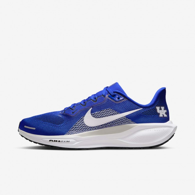 Kentucky Pegasus 41 Kentucky Pegasus 41