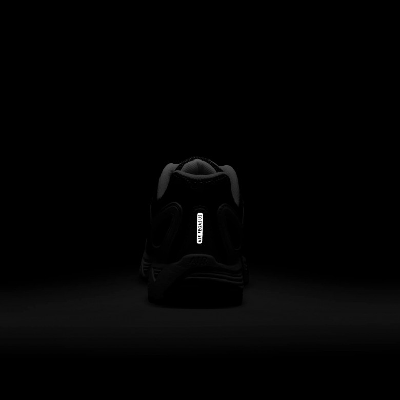 Nike Air Pegasus 2005 Nike Air Pegasus 2005