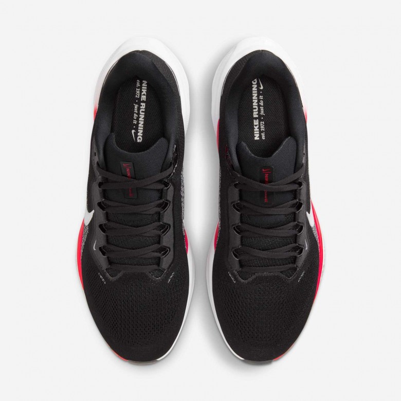 Georgia Pegasus 41 Georgia Pegasus 41