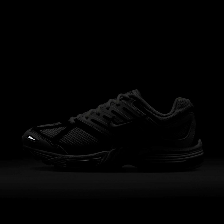 Nike Air Pegasus 2005 Nike Air Pegasus 2005