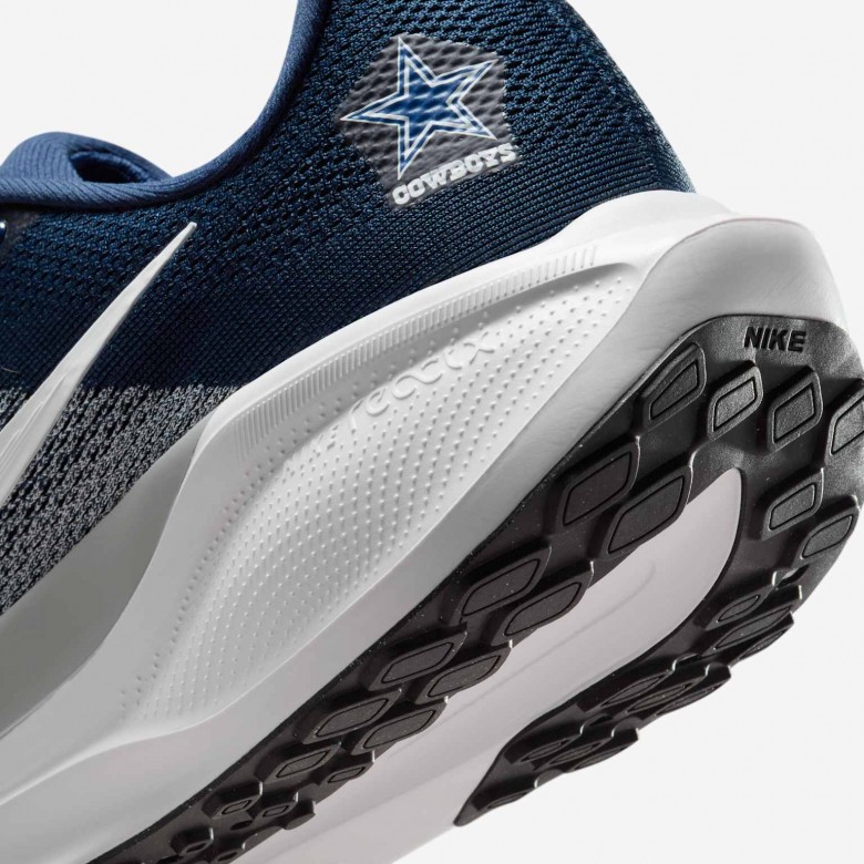 Dallas Cowboys Pegasus 41 Dallas Cowboys Pegasus 41