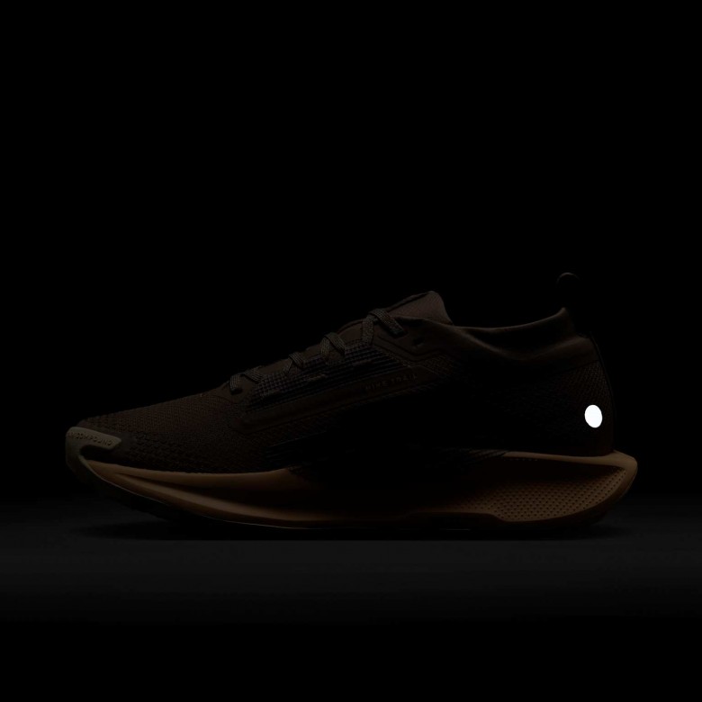 Nike Pegasus Trail 5 GORE-TEX Nike Pegasus Trail 5 GORE-TEX