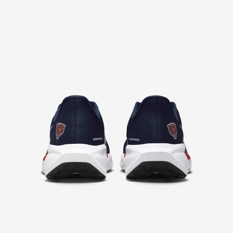 Chicago Bears Pegasus 41 Chicago Bears Pegasus 41