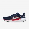New England Patriots Pegasus 41