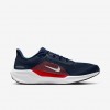 New England Patriots Pegasus 41