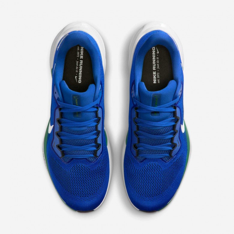 Seattle Seahawks Pegasus 41 Seattle Seahawks Pegasus 41