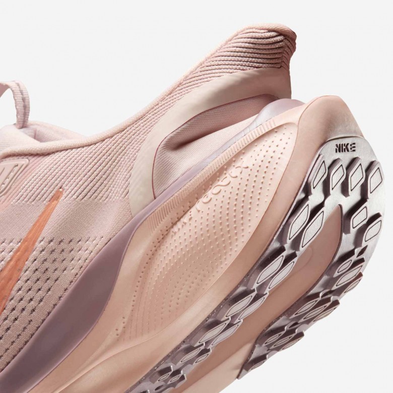 Nike Pegasus EasyOn Nike Pegasus EasyOn