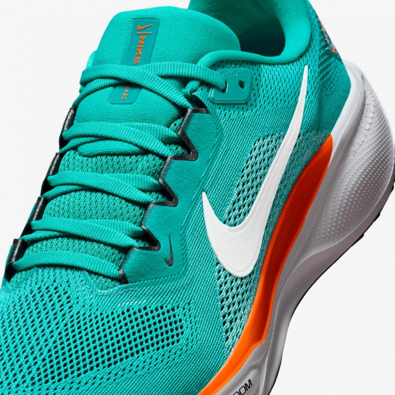 Miami Dolphins Pegasus 41 Miami Dolphins Pegasus 41