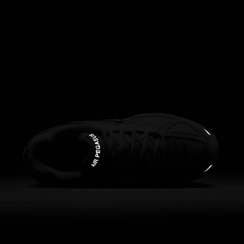 Nike Air Pegasus 2005 Nike Air Pegasus 2005