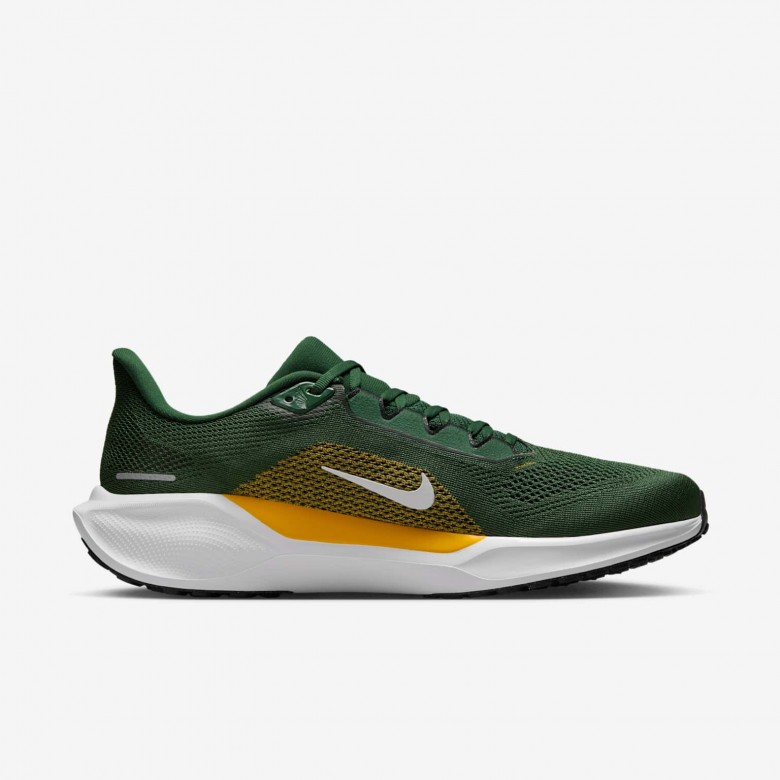 Green Bay Packers Pegasus 41 Green Bay Packers Pegasus 41