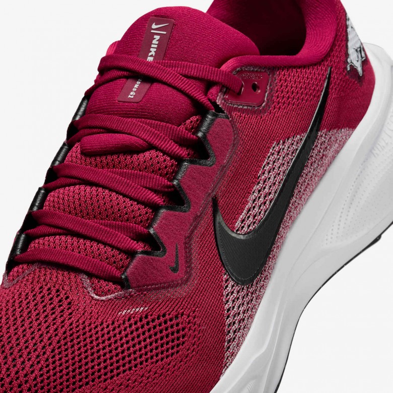 Arkansas Pegasus 41 Arkansas Pegasus 41