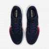 New England Patriots Pegasus 41