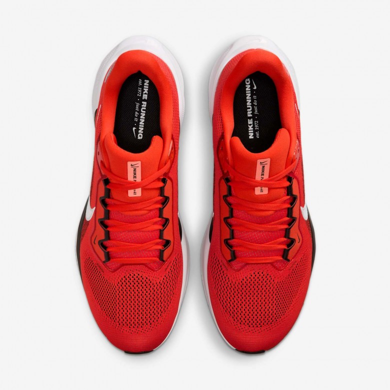 Cleveland Browns Pegasus 41 Cleveland Browns Pegasus 41