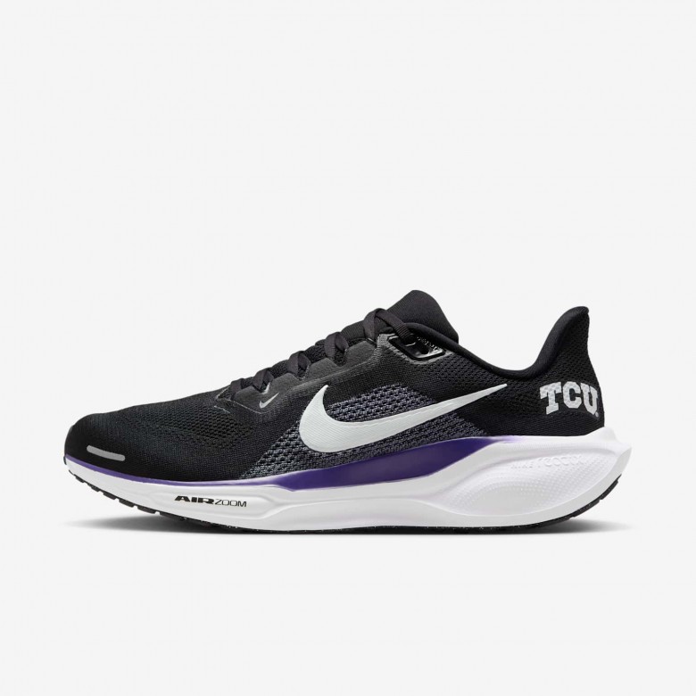 TCU Pegasus 41 TCU Pegasus 41