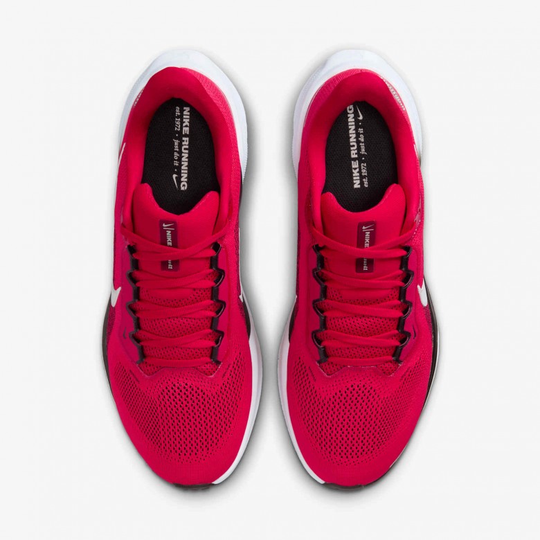 Ohio State Pegasus 41 Ohio State Pegasus 41