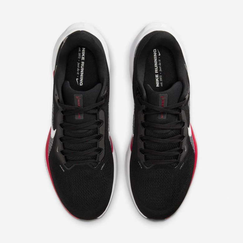 Atlanta Falcons Pegasus 41 Atlanta Falcons Pegasus 41