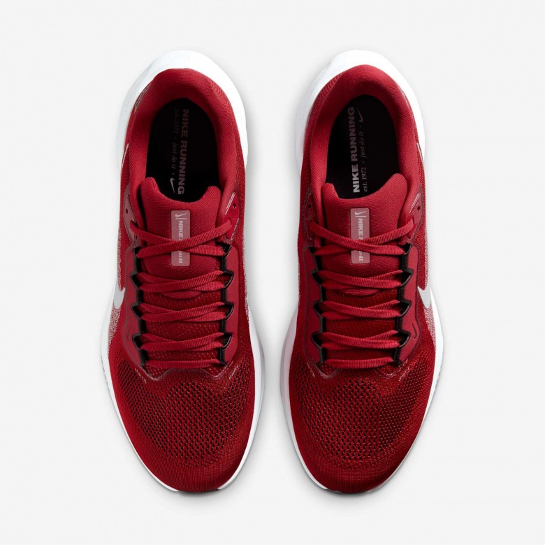 Arizona Cardinals Pegasus 41 Arizona Cardinals Pegasus 41