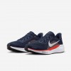 Chicago Bears Pegasus 41