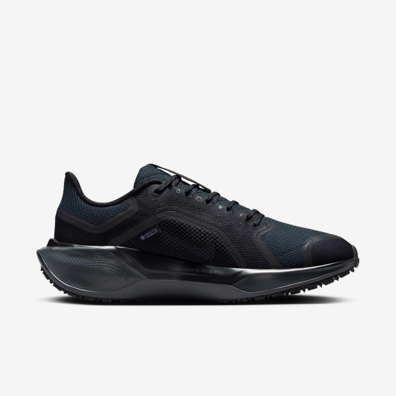 Nike Pegasus 41 GORE-TEX Nike Pegasus 41 GORE-TEX