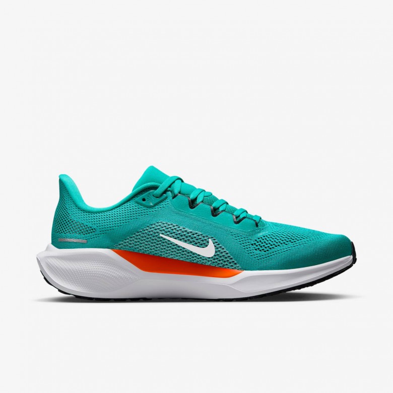 Miami Dolphins Pegasus 41 Miami Dolphins Pegasus 41