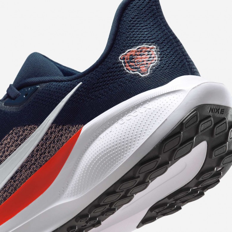 Chicago Bears Pegasus 41 Chicago Bears Pegasus 41