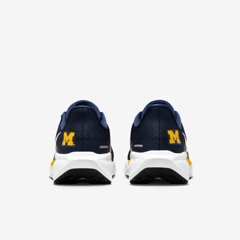 Michigan Pegasus 41 Michigan Pegasus 41