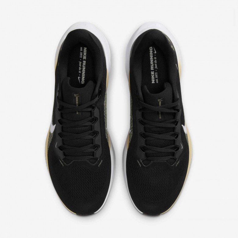 Purdue Pegasus 41 Purdue Pegasus 41