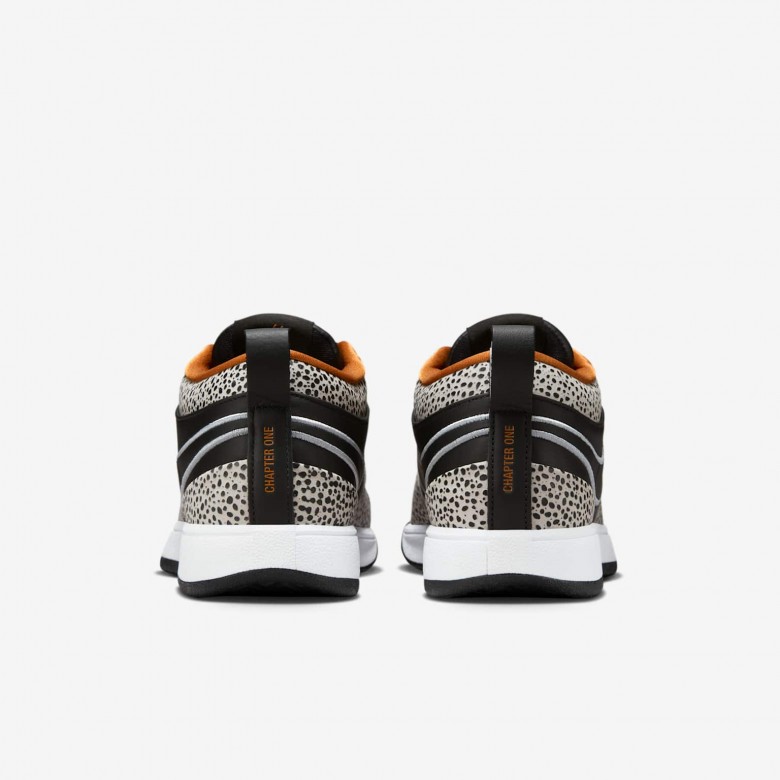 Book 1 "Air Safari" Book 1 "Air Safari"