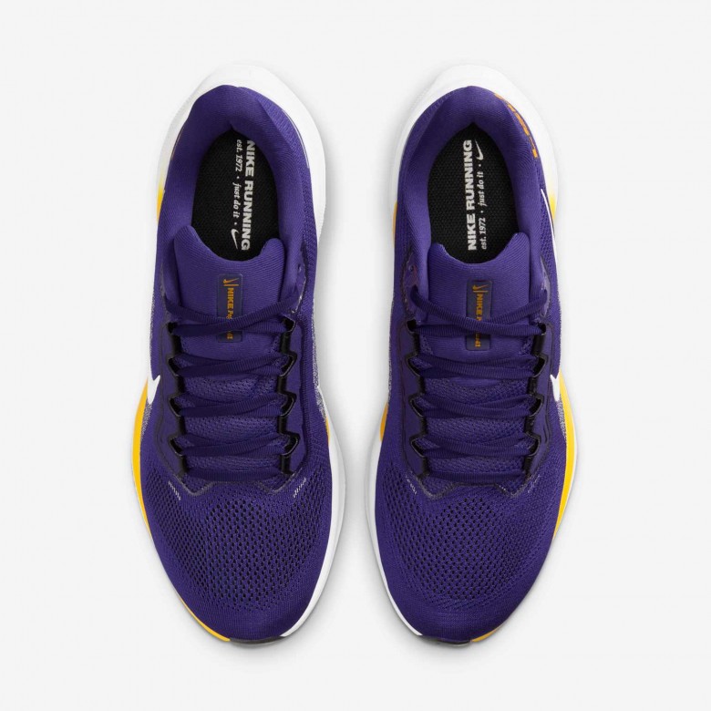 LSU Pegasus 41 LSU Pegasus 41