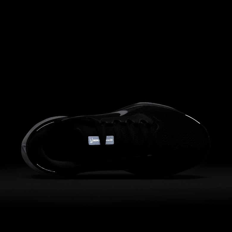 Nike Pegasus 41 Nike Pegasus 41