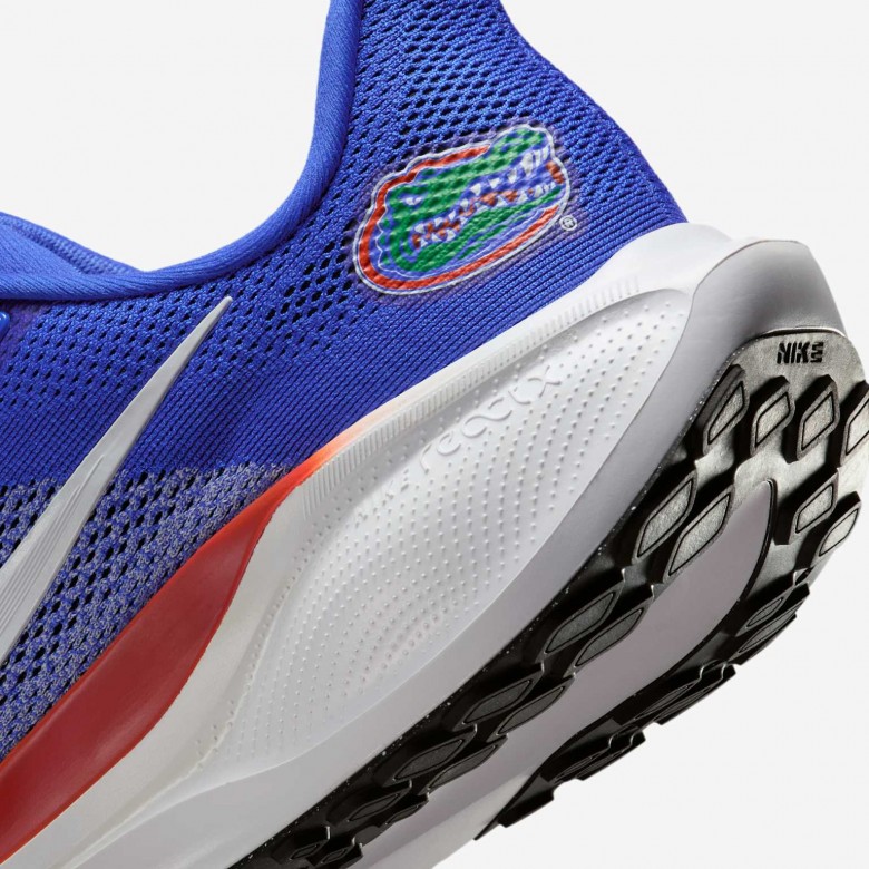 Florida Pegasus 41 Florida Pegasus 41