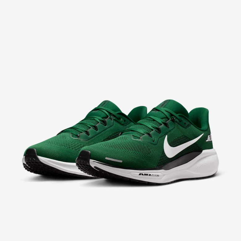 New York Jets Pegasus 41 New York Jets Pegasus 41