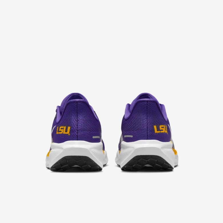 LSU Pegasus 41 LSU Pegasus 41