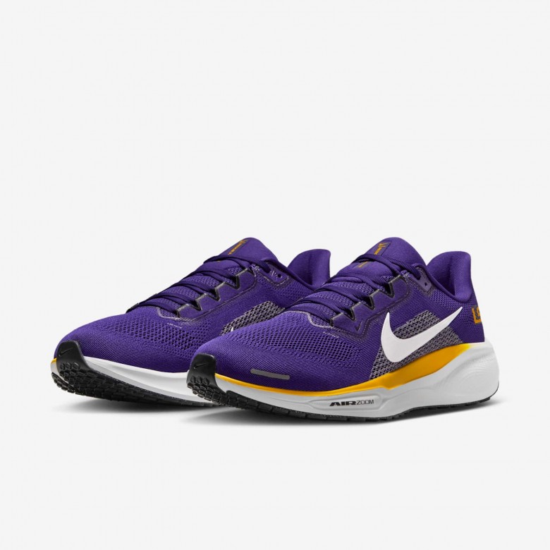 LSU Pegasus 41 LSU Pegasus 41