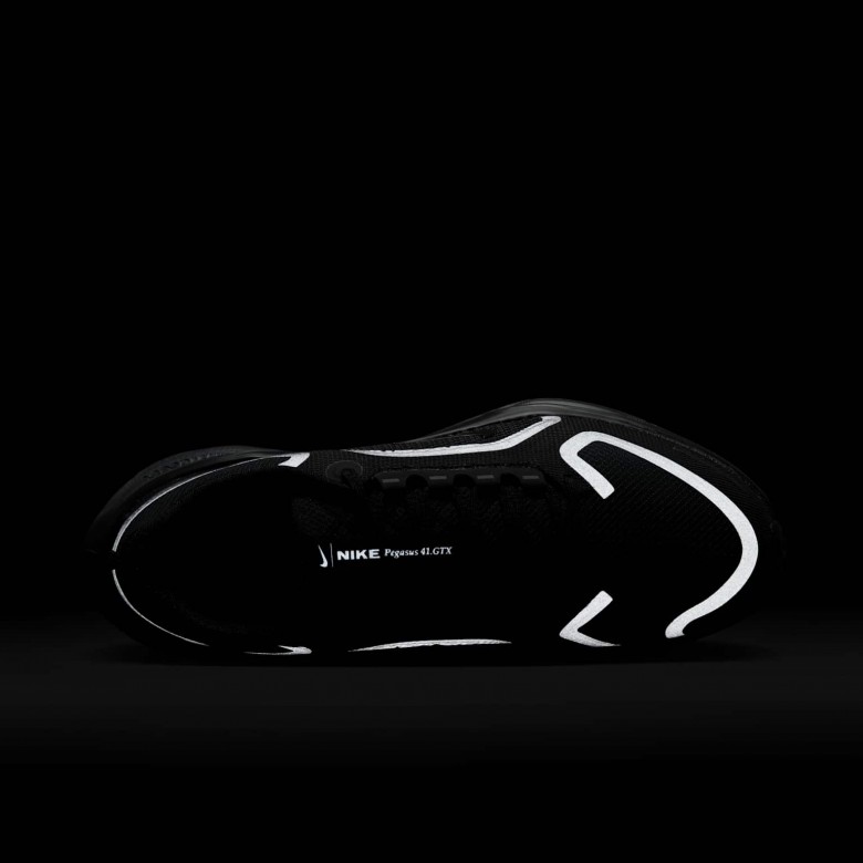 Nike Pegasus 41 GORE-TEX Nike Pegasus 41 GORE-TEX
