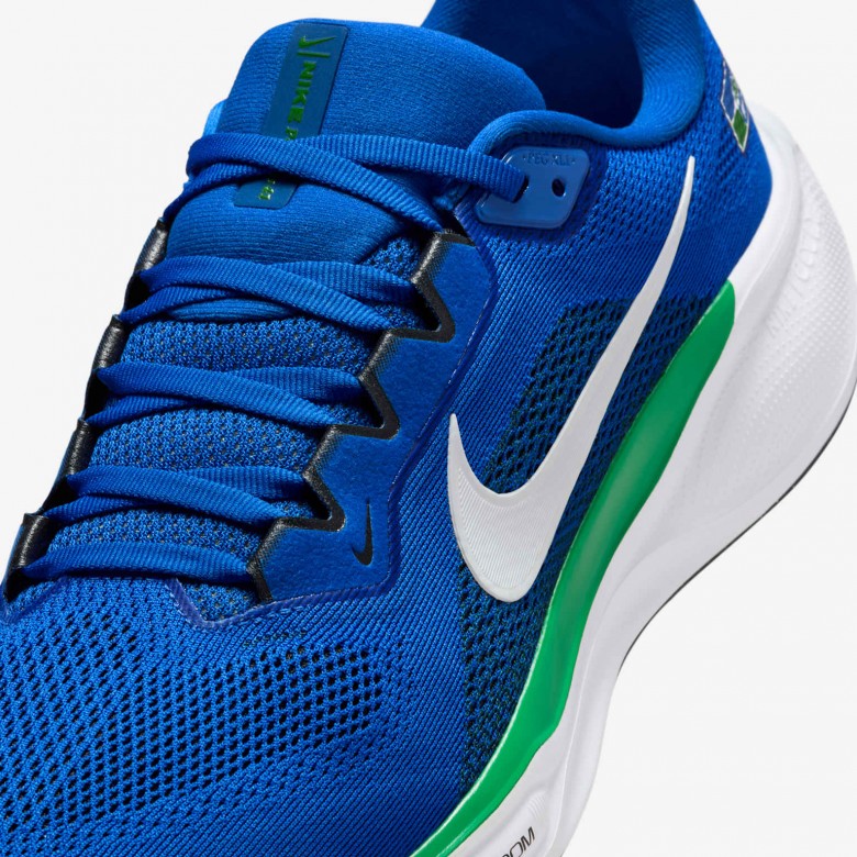 Seattle Seahawks Pegasus 41 Seattle Seahawks Pegasus 41