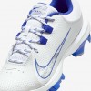 Nike Hyperdiamond 4 Pro MCS