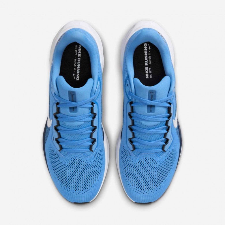 Tennessee Titans Pegasus 41 Tennessee Titans Pegasus 41