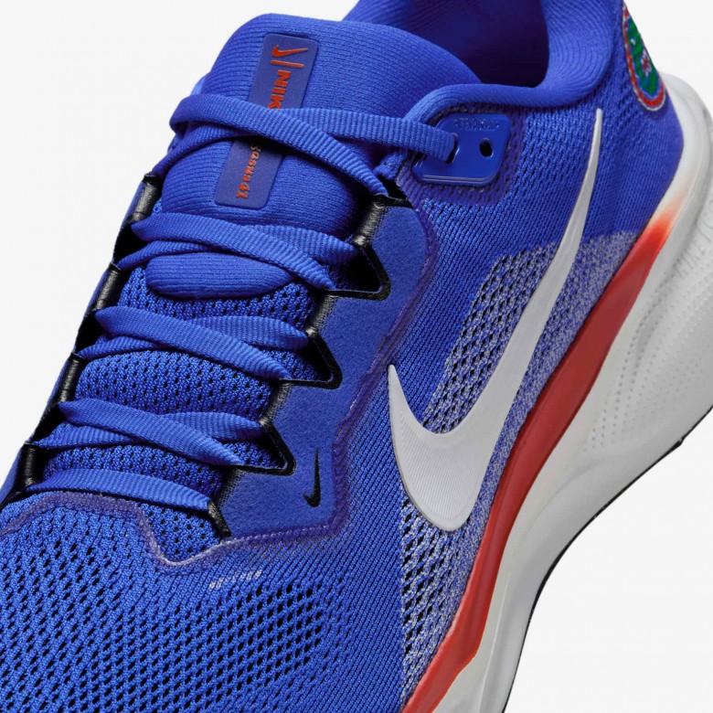 Florida Pegasus 41 Florida Pegasus 41