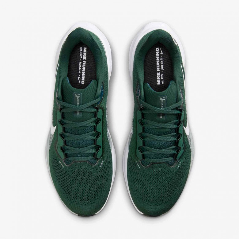 Michigan State Pegasus 41 Michigan State Pegasus 41