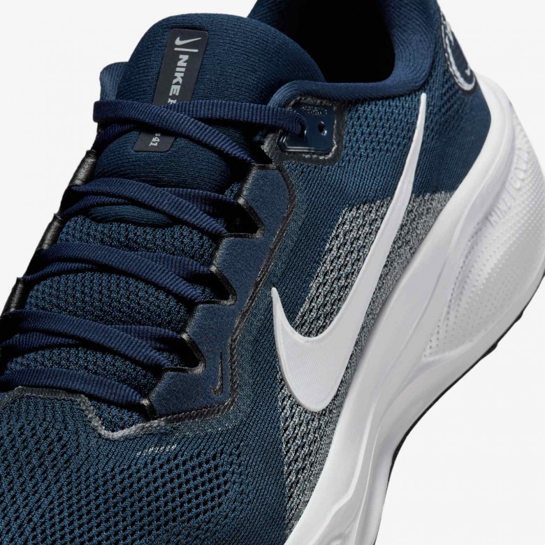 Penn State Pegasus 41 Penn State Pegasus 41