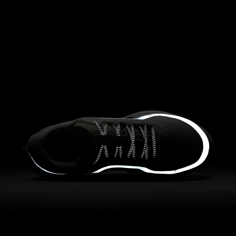 Nike Pegasus Premium Nike Pegasus Premium