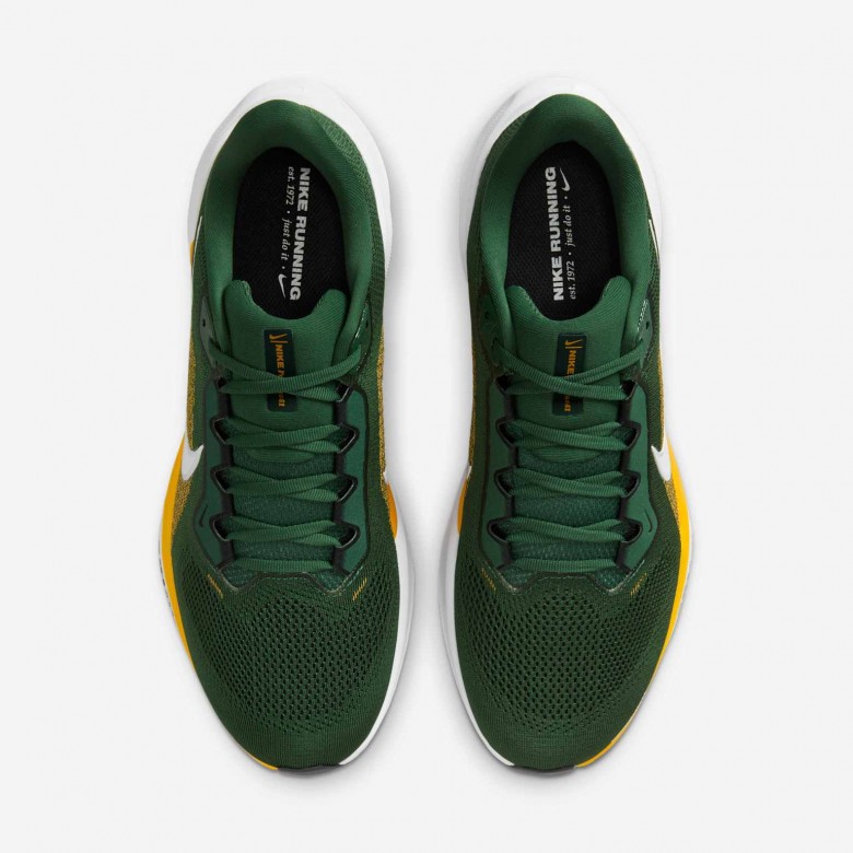 Green Bay Packers Pegasus 41 Green Bay Packers Pegasus 41