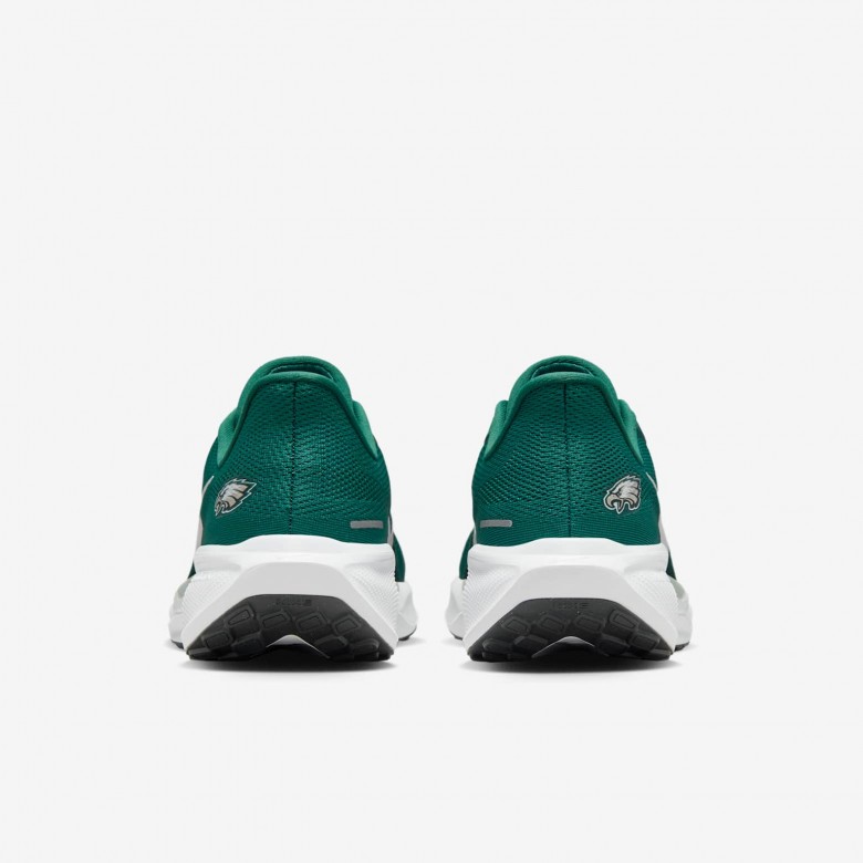 Philadelphia Eagles Pegasus 41 Philadelphia Eagles Pegasus 41